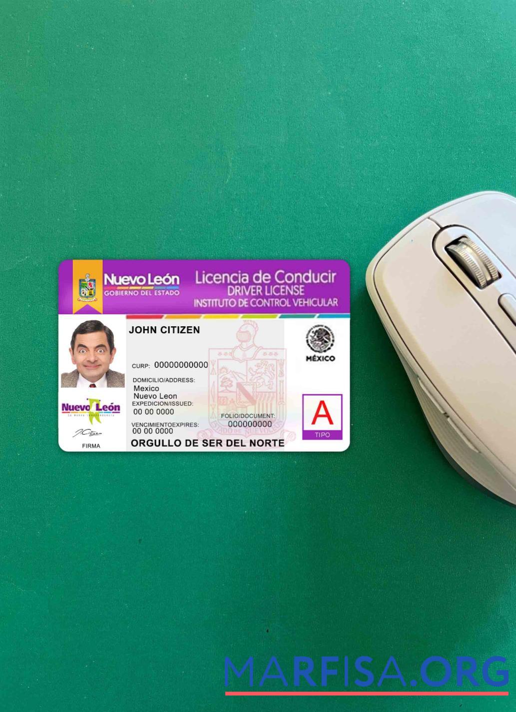 Blank Mexico Nuevo Leon driving license photolook template